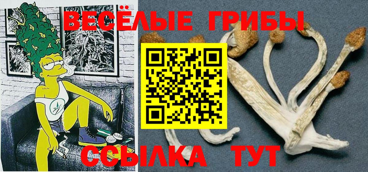 где купить наркоту  Псилоцибиновые грибы прущие грибы  Вход с VPN  Орёл 